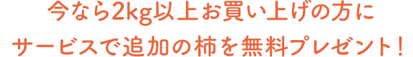 今なら2kg以上お買い上げの方にサービスで追加の柿を無料プレゼント！